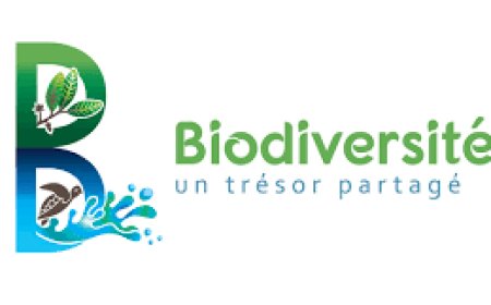 Écologie et Biodiversité