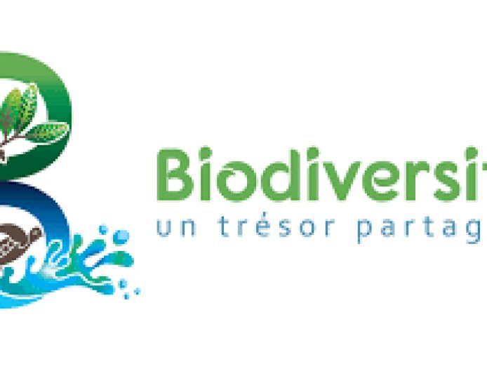 Écologie et Biodiversité