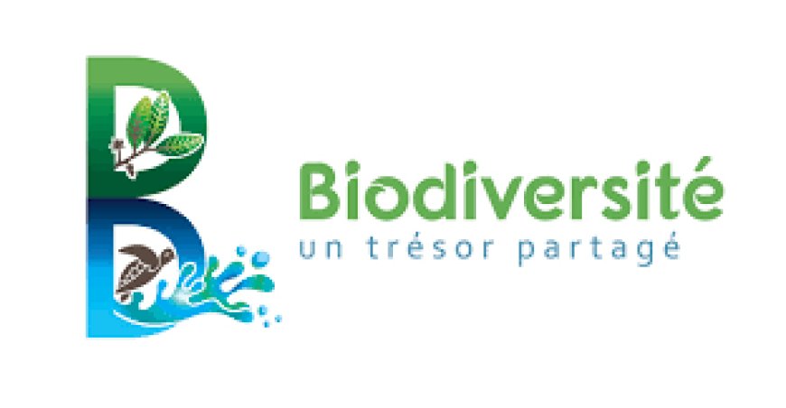 Écologie et Biodiversité
