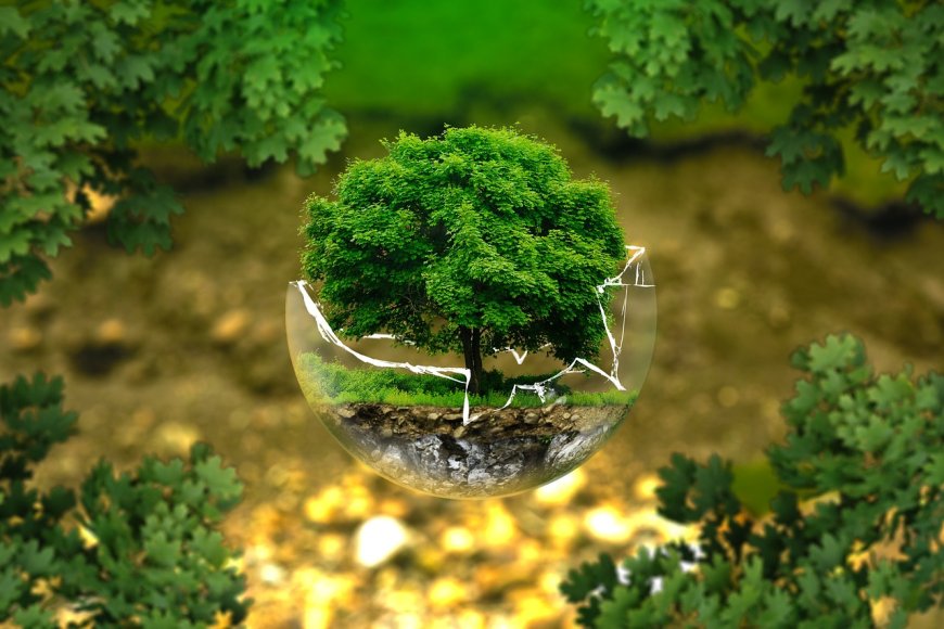 Écologie et Biodiversité